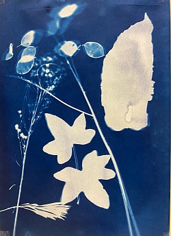 Cyanotype