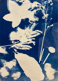 Cyanotype